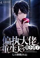 偏执大佬重生后他不渣了txt