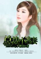 总裁缉捕小逃妻