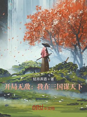我在三国无强敌