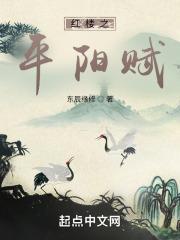 红楼之平阳赋好看吗