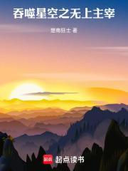吞噬星空之无上主宰无弹窗