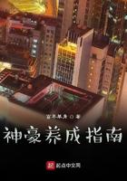 无敌神豪养成系统