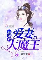 请叫我爱妻大魔王是谁