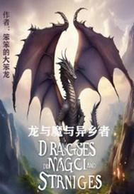 龙与魔女简介