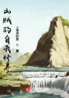 山贼的小乖tⅹt