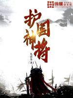 护国神将免费阅读