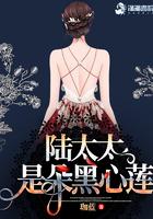 陆太太复婚吗