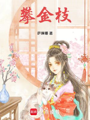 攀金枝免费阅读起点