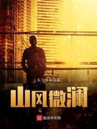 山风为岚什么意思