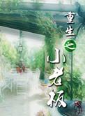 重生之小老板 弦笔趣阁