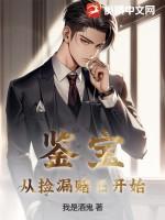 鉴宝从捡漏赌石开始免费阅读