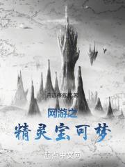 精灵宝可梦网游