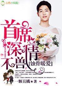 蚀心暖恋首席老公请入怀