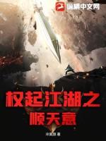 权起江湖之顺天意完结了吗