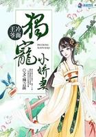 冷面王爷宠不停