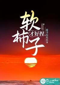 柿子专挑软的捏