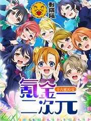 氪金二次元校对版