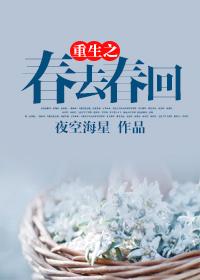 重生之春怀遣倦