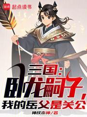 家父诸葛亮,我打造了千年大汉