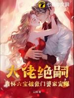 大佬绝嗣,我怀六宝被豪门婆家宠爆