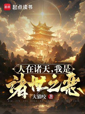 人在诸天,我是诸世之恶