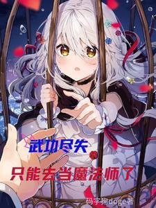 武功尽失,只能去当魔法师了