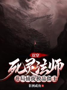 双穿:死灵法师开局捕捉极品僵王