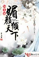 红鸾劫:媚颜倾天下