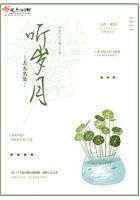 去无名处听岁月