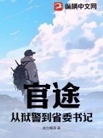 官途:从狱警到省委书记