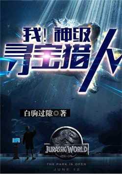 我!神级寻宝猎人!